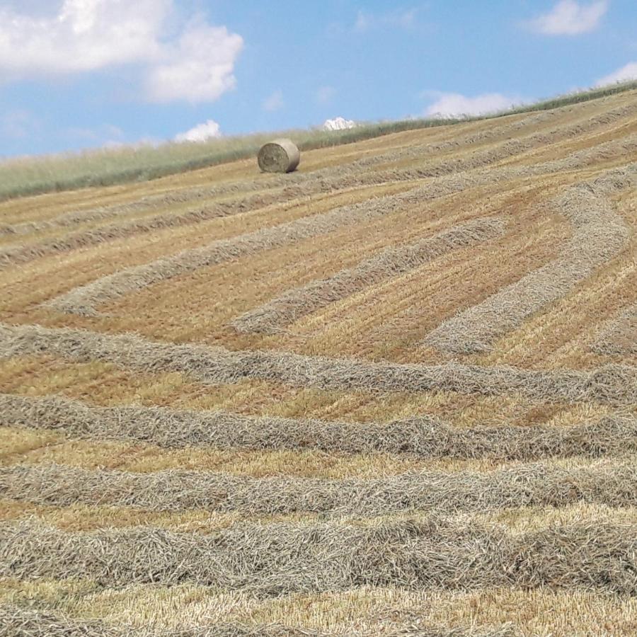 Agriturismo Il Colore Del Grano San Vittore  المظهر الخارجي الصورة