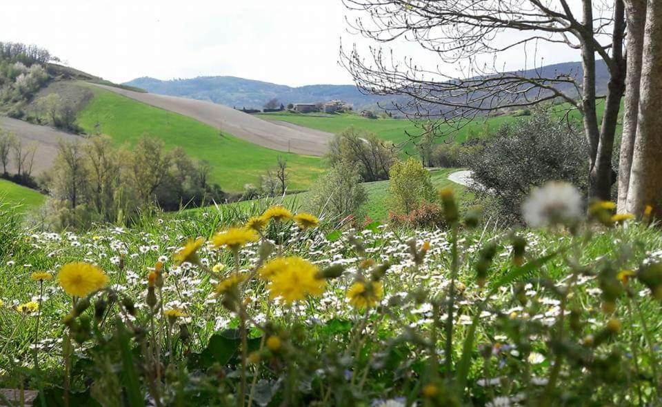 Agriturismo Il Colore Del Grano San Vittore  المظهر الخارجي الصورة