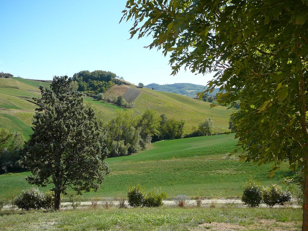 Agriturismo Il Colore Del Grano San Vittore  المظهر الخارجي الصورة