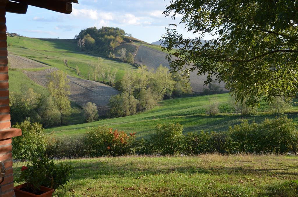 Agriturismo Il Colore Del Grano San Vittore  المظهر الخارجي الصورة
